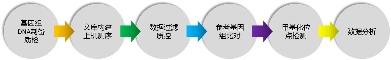 測序2.png