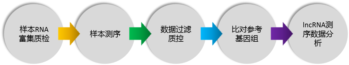 測序4.png