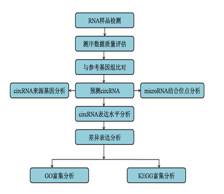 測序6.png