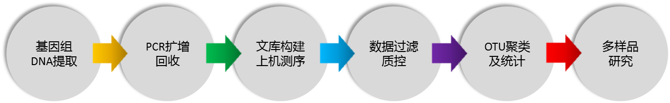 測序7.png