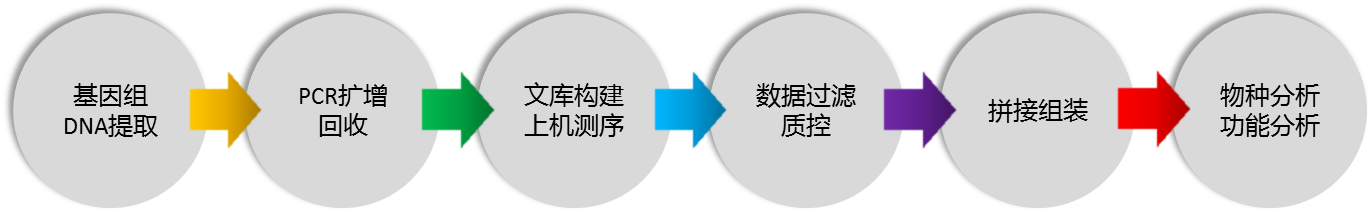 測序8.png